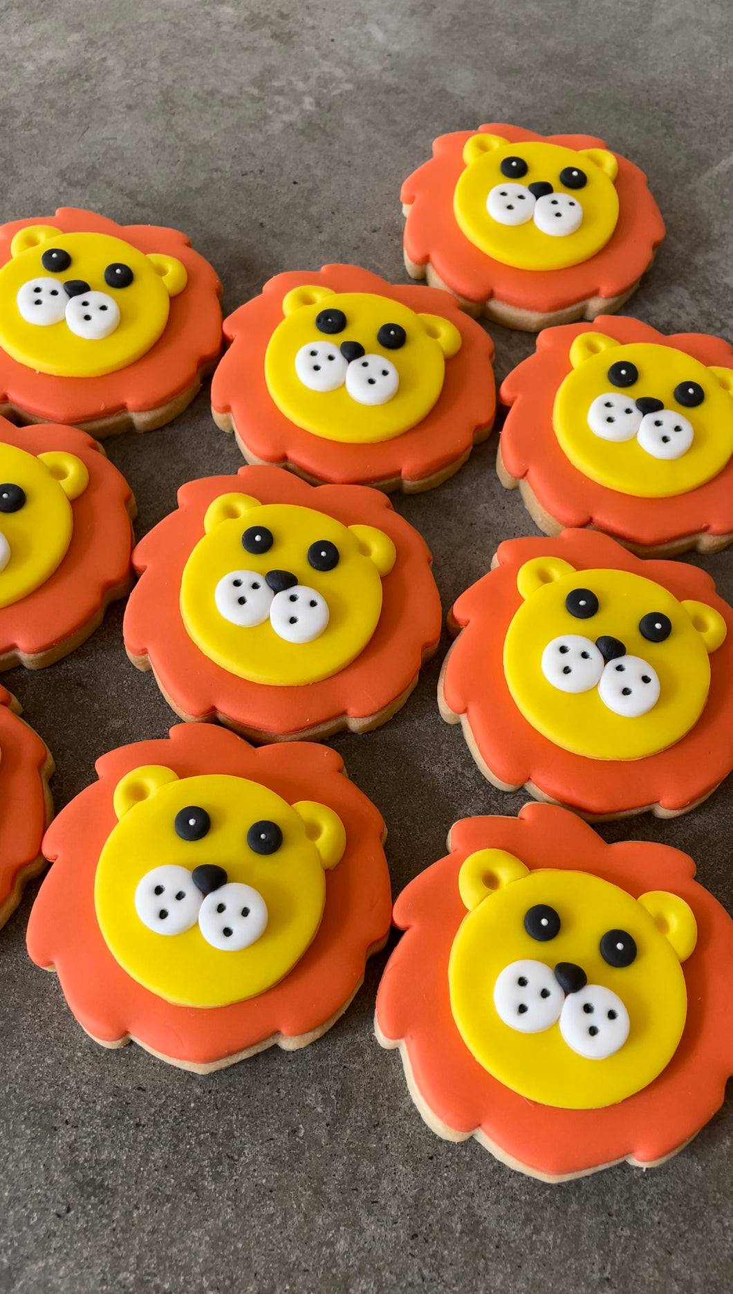 Lion cookies qty 12