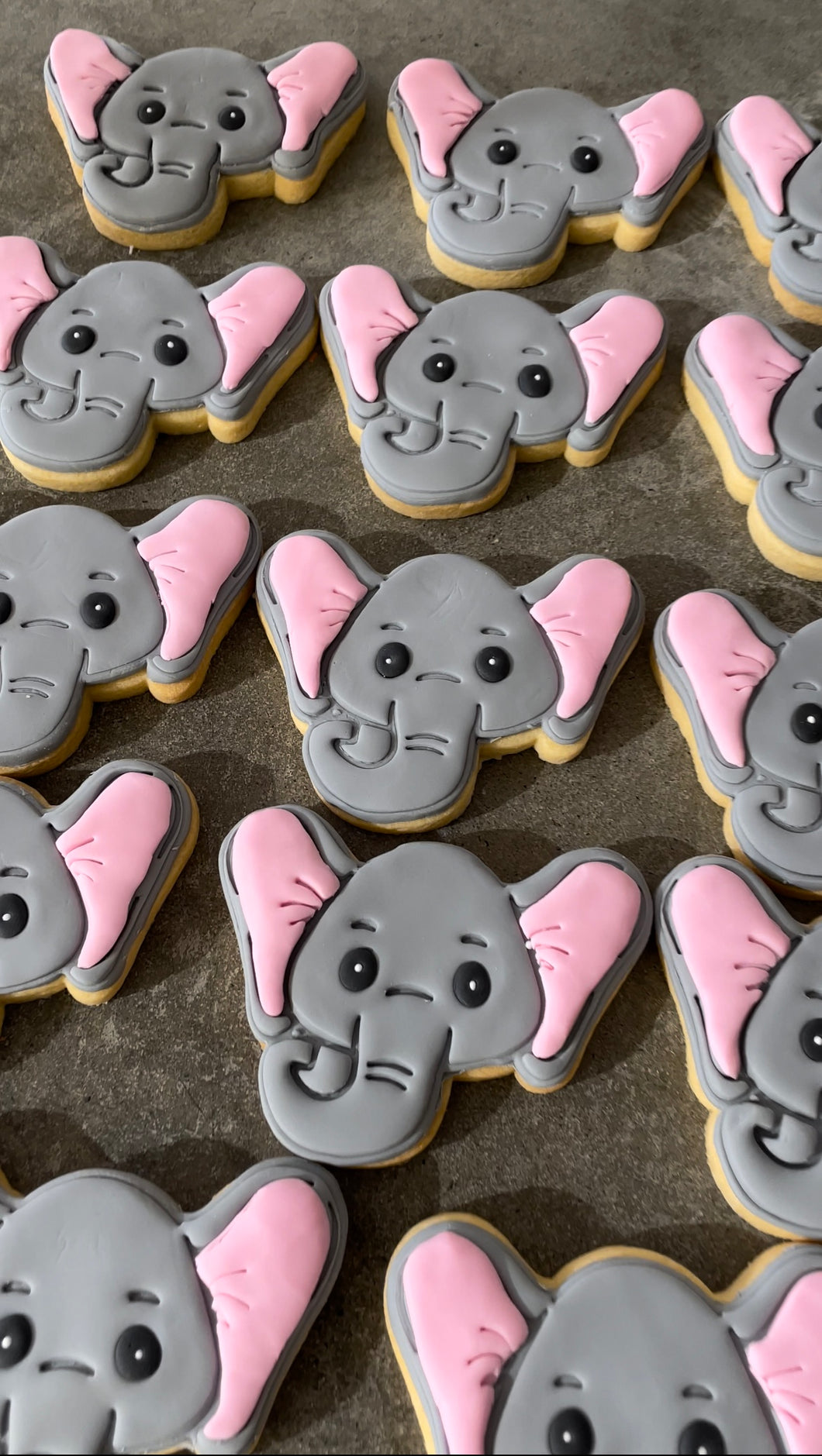 Elephant cookies qty 12